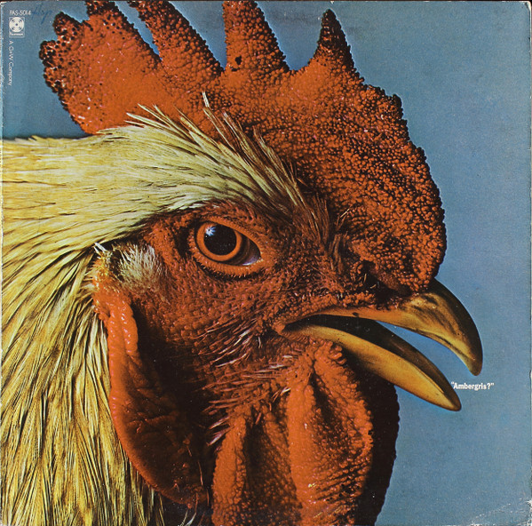 Ambergris? Photography: Steve Myers, Design: Thom Williams